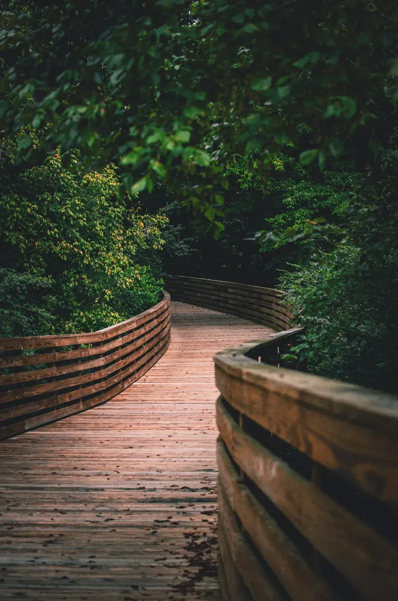 Hello Eco Living Journey